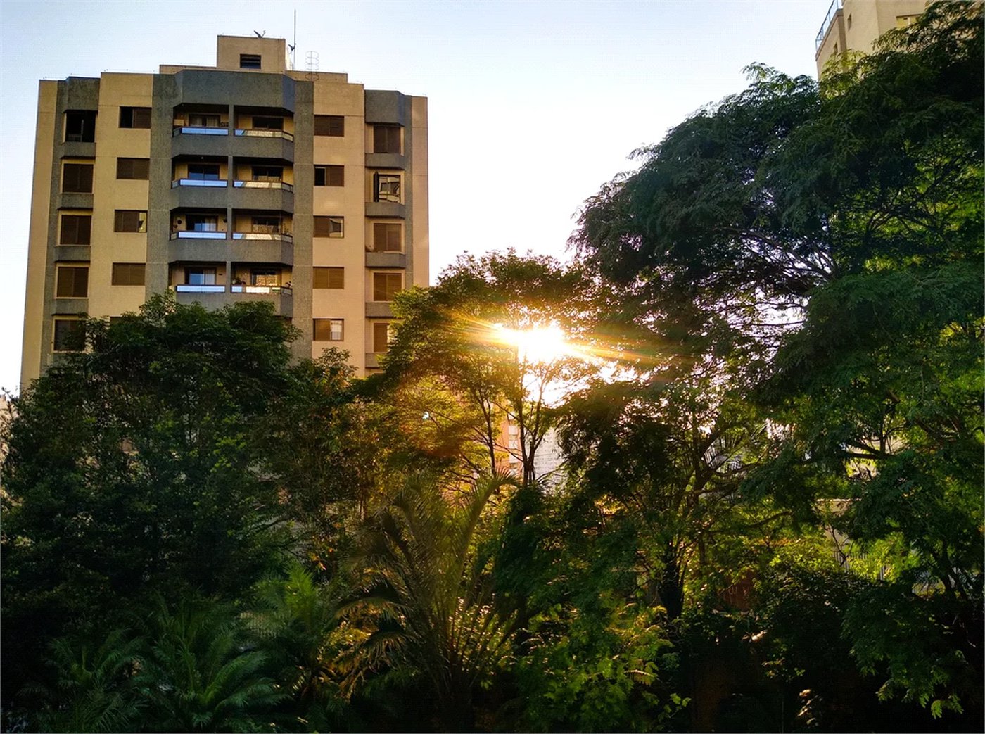 Apartamento à venda com 4 suítes em Vila Andrade, São Paulo, SP