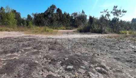 Terreno à venda em Caraguatá, Mairiporã, SP