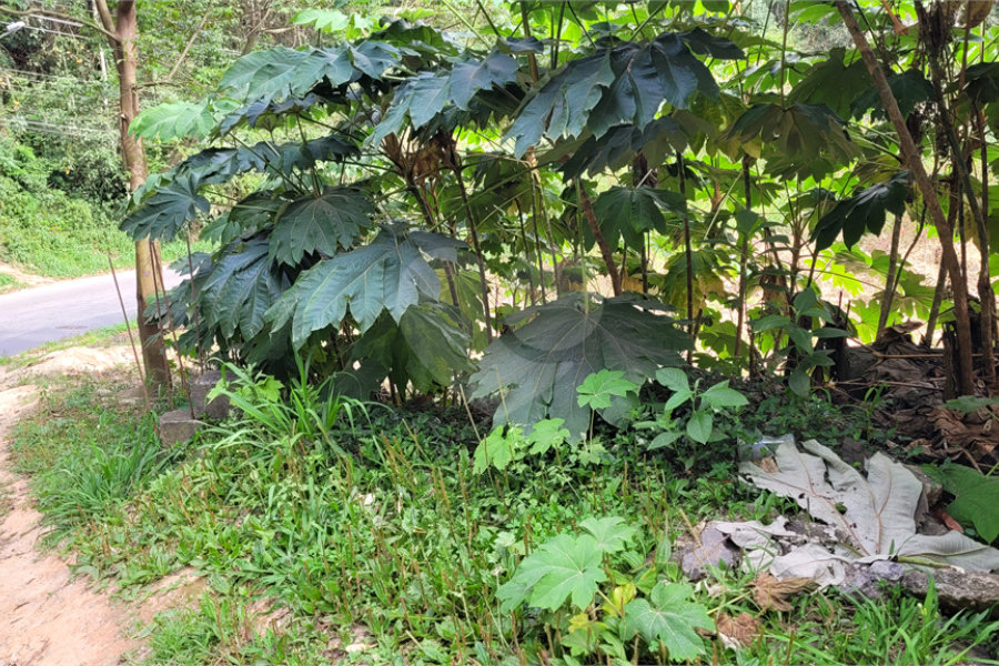 Terreno à venda em Barreiro, Mairiporã, SP