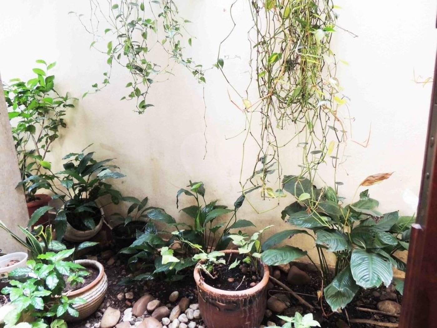 Sobrado à venda com 4 quartos, sendo 2 suítes, em Jardim Prudência, São Paulo, SP
