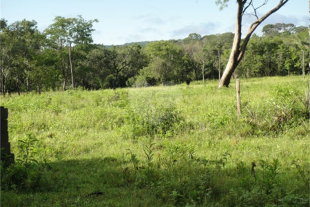 Fazenda à venda com 2 quartos em Canabrava, João Pinheiro, MG