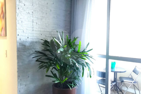 Apartamento à venda com 3 quartos, sendo 1 suíte, em Jaçanã, São Paulo, SP