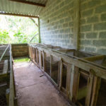 Sítio à venda com 3 quartos, sendo 1 suíte, no Centro (são João Novo), São Roque, SP