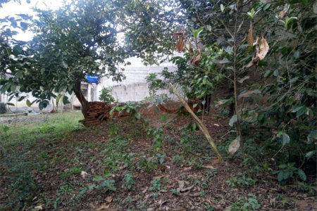 Terreno à venda ou para alugar no condomínio São Marcos, São Paulo - SP
