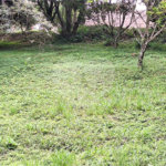 Terreno à venda em Marambaia, Vinhedo, SP