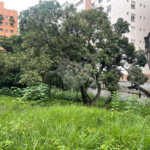 Terreno à venda em Jardim Guedala, São Paulo, SP