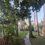 Casa Térrea à venda com 5 quartos, sendo 2 suítes, em Chácara Monte Alegre, São Paulo, SP