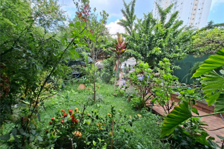 Casa à venda ou para alugar com 4 quartos, sendo 2 suítes, em Vila Mazzei, São Paulo, SP