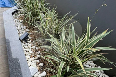 Sobrado à venda com 3 suítes em Parque Terra Nova II, São Bernardo do Campo, SP