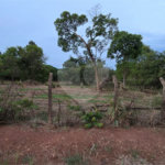 Terreno à venda em Chácara Velosa, Araraquara, SP