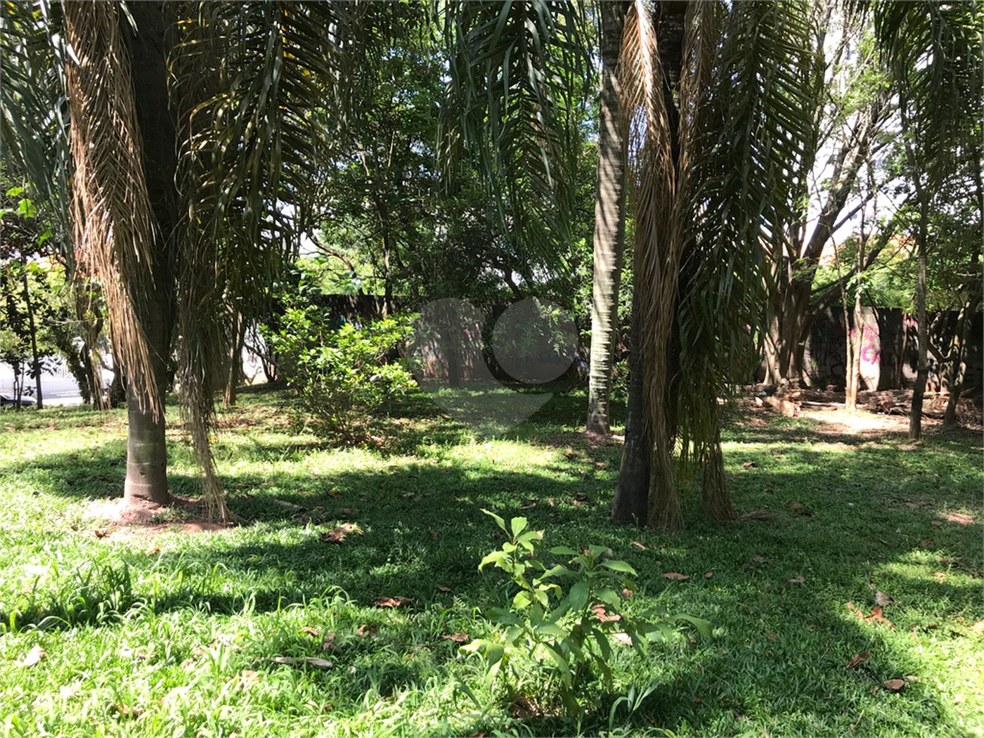 Terreno à venda em Lar São Paulo, São Paulo, SP
