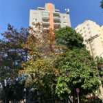 Apartamento à venda com 2 quartos em Vila Congonhas, São Paulo, SP