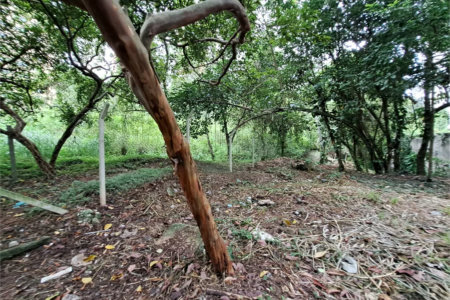 Terreno à venda em Jardim Ampliação, São Paulo, SP