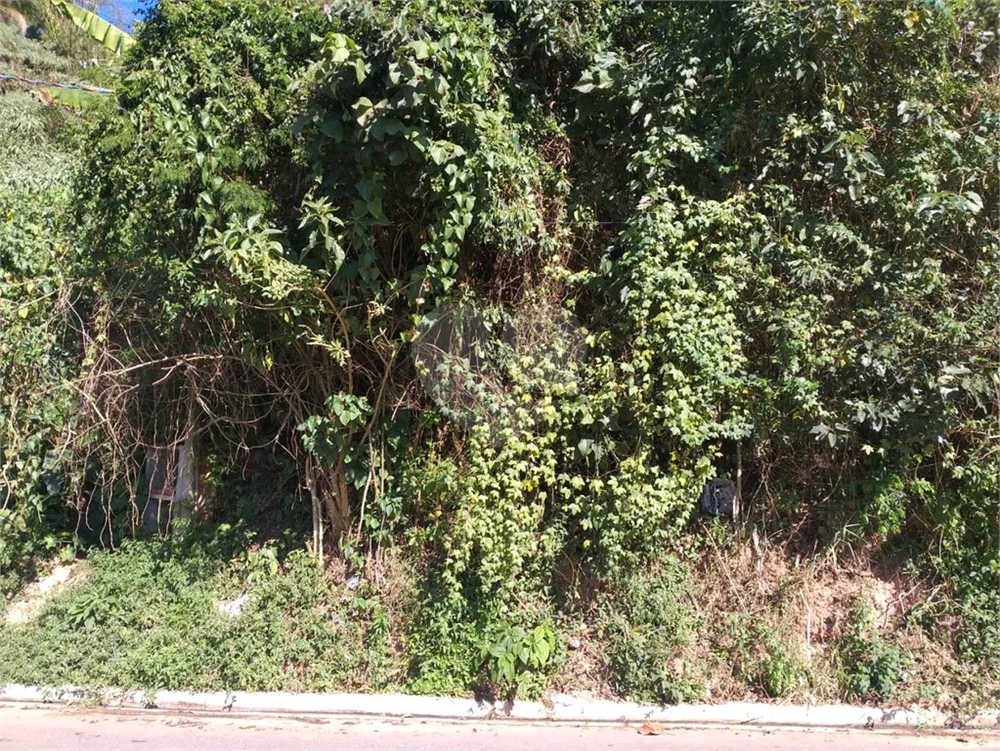 Terreno à venda em Tremembé, São Paulo, SP