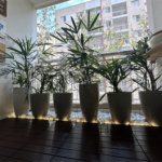 Apartamento à venda com 1 suíte em Vila Polopoli, São Paulo, SP