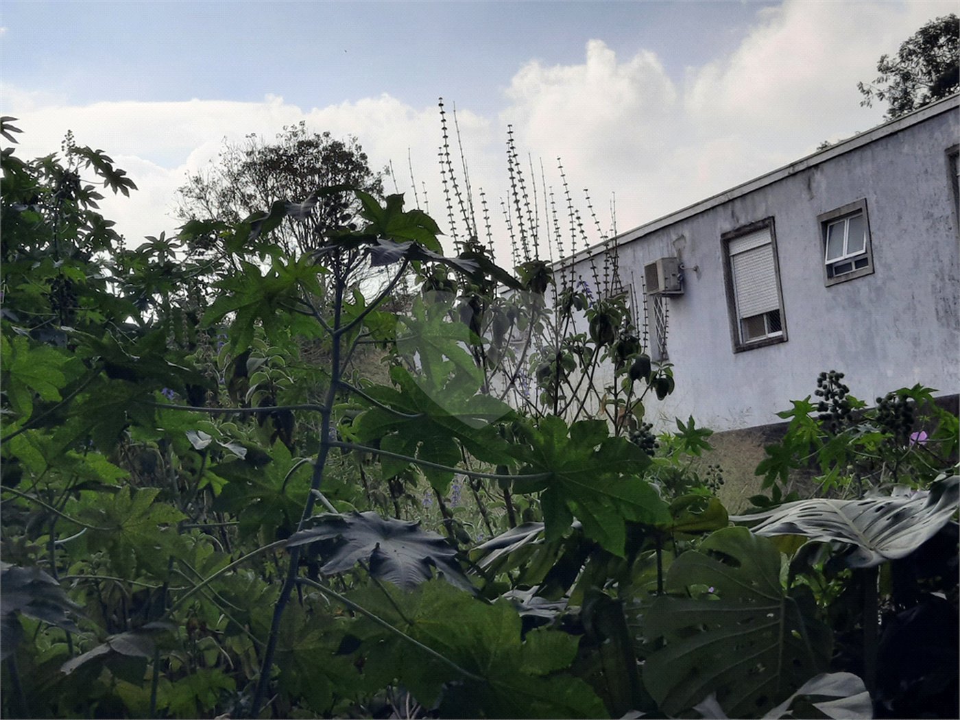 Terreno à venda em Chácara Monte Alegre, São Paulo, SP