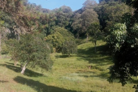 Sítio com 10 dormitórios à venda, 120000 m² por R$ 1.650.000,00 - Bairro Carmo Messias - Ibiúna/SP