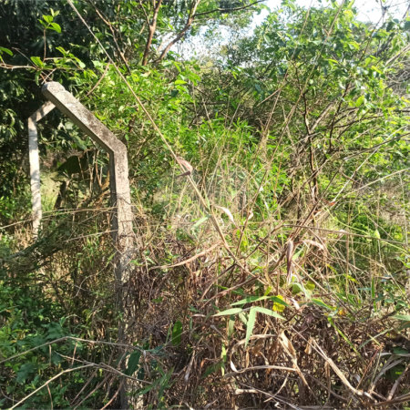Terreno à venda em Bosque dos Eucalíptos, Atibaia, SP