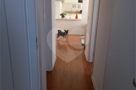 Apartamento à venda com 2 quartos, sendo 1 suíte, em Vila Mazzei, São Paulo, SP