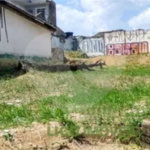 Terreno à venda com 2 quartos em Vila Maria, São Paulo, SP