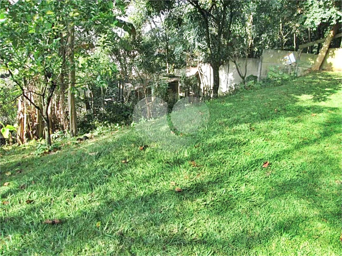 Sobrado à venda com 6 quartos, sendo 4 suítes, em Vila Albertina, São Paulo, SP