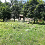 Terreno à venda em Cachoeira, Vinhedo, SP