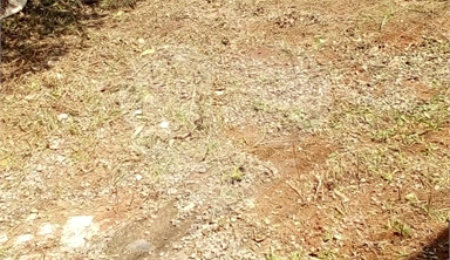 Terreno à venda em Freguesia do Ó, São Paulo, SP