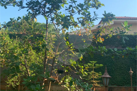Casa à venda com 4 quartos, sendo 2 suítes, em Jardim Canadá, Ribeirão Preto, SP
