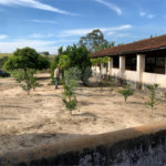 Sítio à venda ou para alugar com 3 suítes em Parque Residencial Indaiá, Indaiatuba, SP