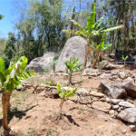 Casa à venda com 3 quartos, sendo 2 suítes, no condomínio Alpes de Caieiras, Caieiras - SP