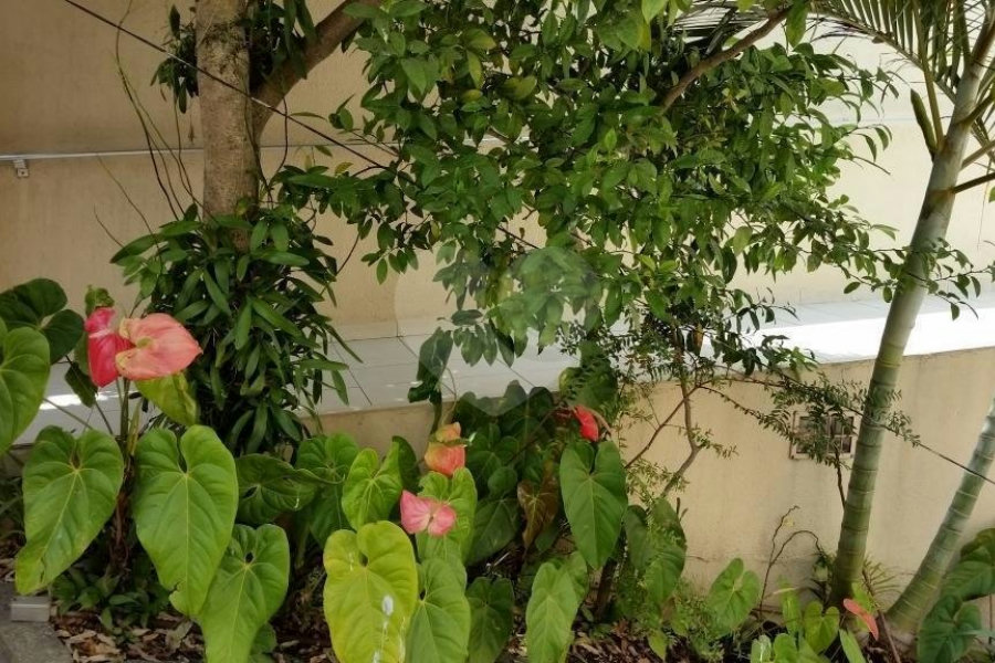 Sobrado à venda com 3 quartos, sendo 1 suíte, em Tremembé, São Paulo, SP