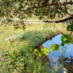 Sítio à venda com 2 quartos em Área Rural de Lagoinha, Lagoinha, SP