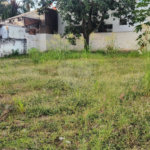 Terreno para alugar no Centro, Araraquara, SP