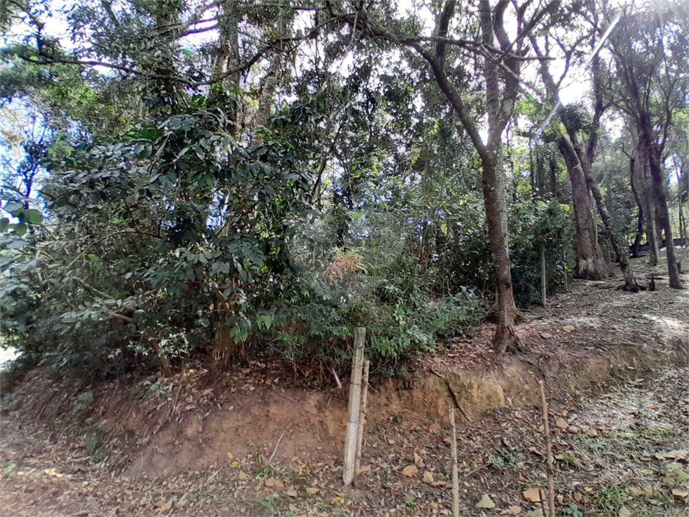 Terreno à venda em Chácara Arantes, Mairiporã, SP