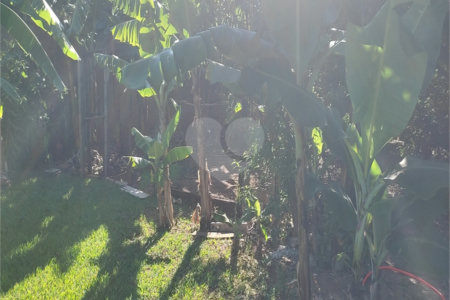Chácara à venda com 3 quartos, sendo 1 suíte, em Parque das Bandeiras, Indaiatuba, SP