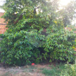 Terreno à venda em Parque Residencial Vale do Sol, Araraquara, SP