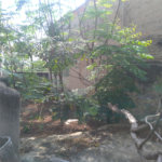 Terreno à venda em Casa Verde, São Paulo, SP