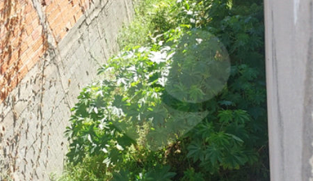 Terreno à venda em Vila Suissa, Mogi das Cruzes, SP