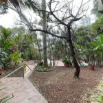 Casa com 6 dormitórios para alugar, 1000 m² por R$ 18.000,00/mês - Morro Santa Terezinha - Santos/SP
