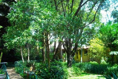 Casa Térrea à venda com 5 quartos em Alto da Boa Vista, São Paulo, SP