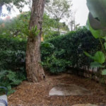 Casa à venda ou para alugar com 4 suítes no condomínio Araucárias, São Paulo - SP