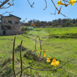 Terreno à venda no condomínio Bougainville, Sorocaba - SP