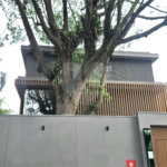 Casa à venda com 4 suítes no condomínio Plm 875, São Paulo - SP