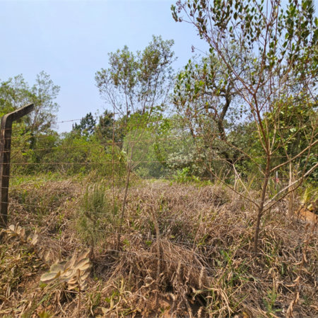 Terreno à venda em Curral, Ibiúna, SP