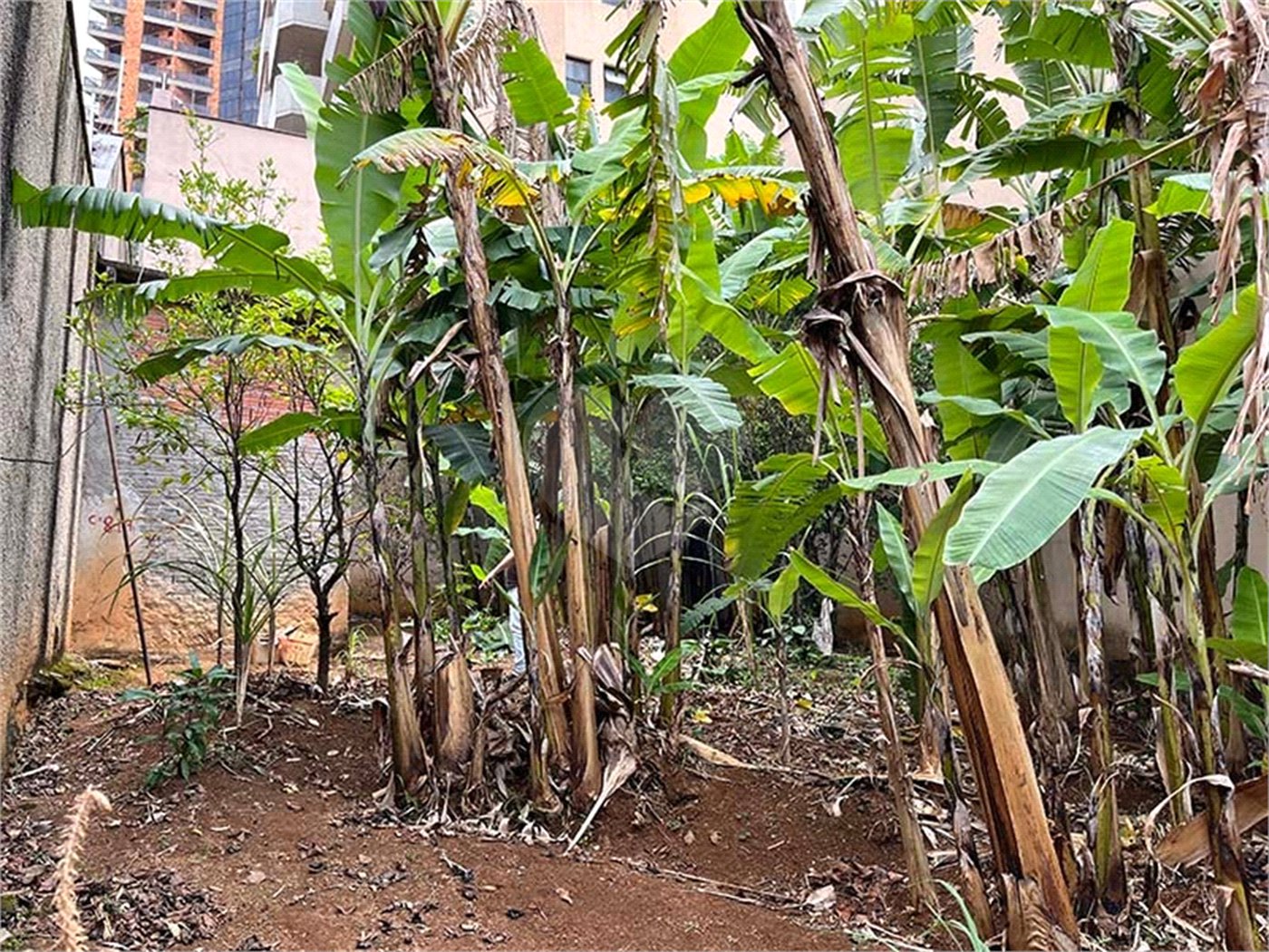 Terreno à venda em Santana, São Paulo, SP