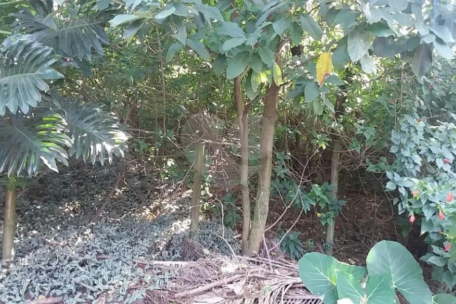 Terreno à venda em Tremembé, São Paulo, SP