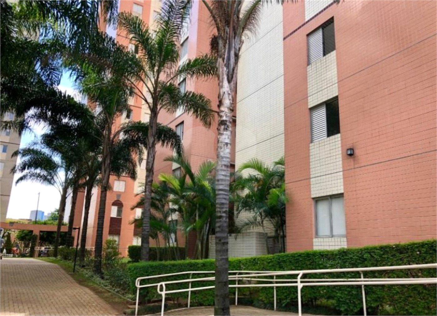 Apartamento à venda com 3 quartos, sendo 1 suíte, em Cambuci, São Paulo, SP