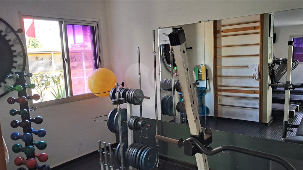Apartamento à venda com 3 quartos, sendo 1 suíte, em Jardim São Paulo(zona Norte), São Paulo, SP