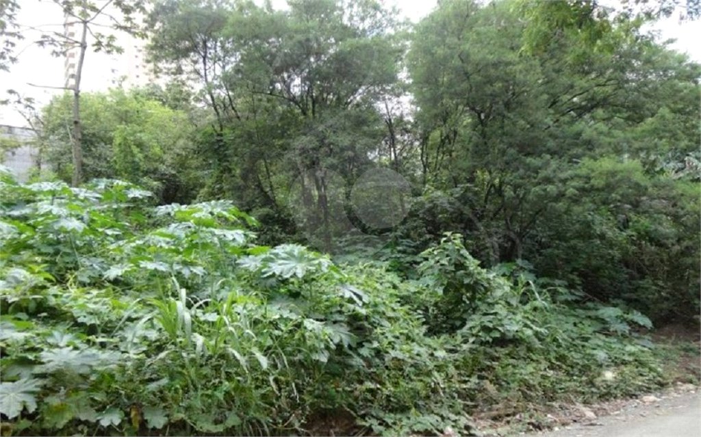 Terreno à venda em Vila Suzana, São Paulo, SP