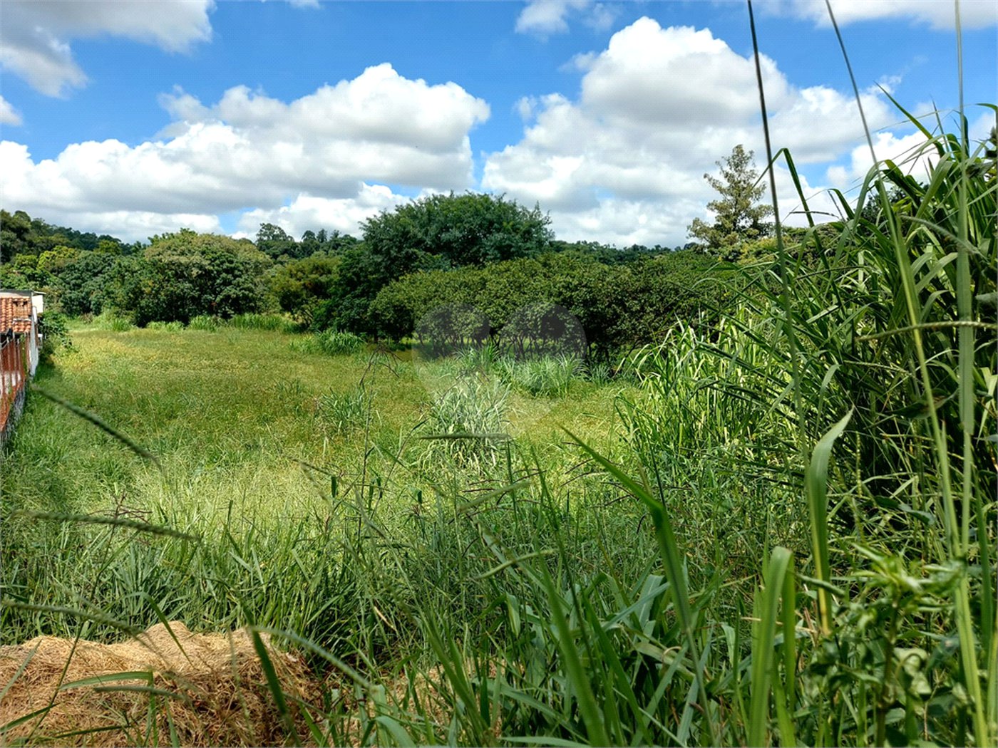 Terreno à venda em Abadia, Louveira, SP